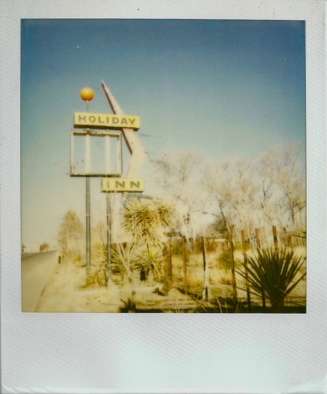 ROAD SIGN BY TREES AGAINST SKY