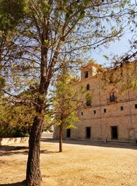 Trees in front of built structure