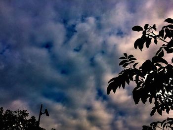 Low angle view of silhouette tree against sky