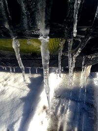 Close-up of icicles on landscape