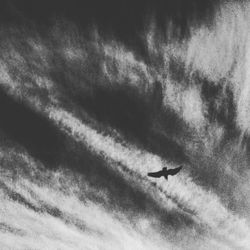 Low angle view of airplane flying in sky