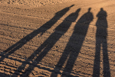 Shadow of people on the ground