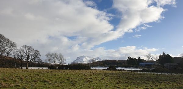 Scenic view of field against sky