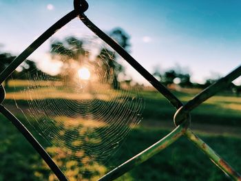 Close-up of spider web on fence against sky