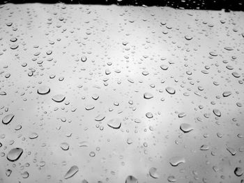 Close-up of water drops on leaf