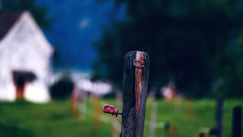 Close-up of wooden post on fence