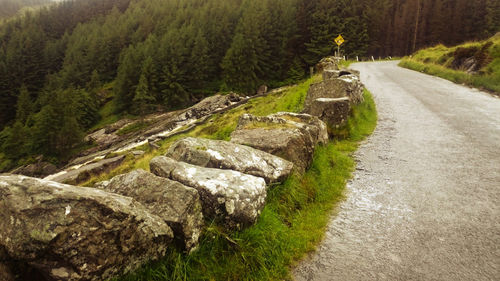 Footpath by road amidst trees in forest