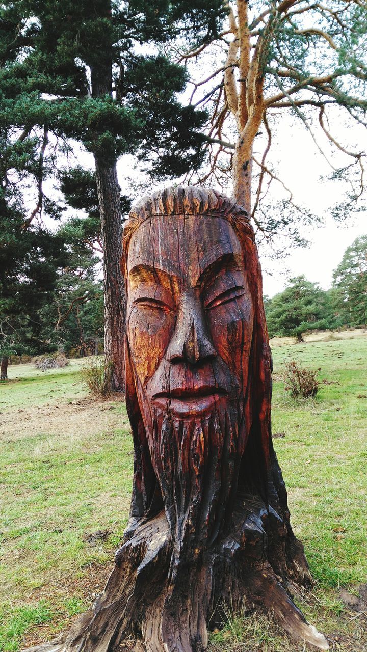 tree, art and craft, art, creativity, sculpture, statue, human representation, tree trunk, grass, nature, field, tranquility, growth, outdoors, no people, day, carving - craft product, branch, sunlight