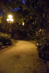 Empty road along trees at night