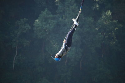 Low angle view of man jumping against trees