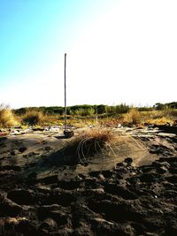 Road on field against clear sky