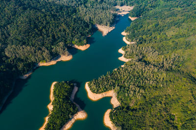 High angle view of trees on landscape