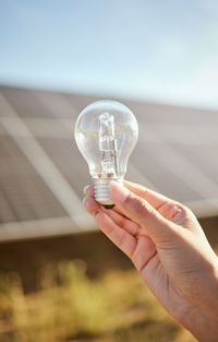 Cropped hand holding light bulb