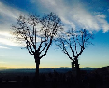 Bare trees on landscape at sunset