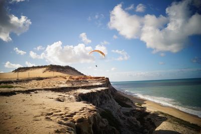 Bird flying over sea