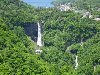 Scenic view of waterfall in forest