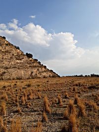 Scenic view of landscape against sky