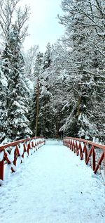 Snow covered field by trees