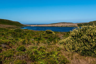 Scenic view of sea against clear blue sky