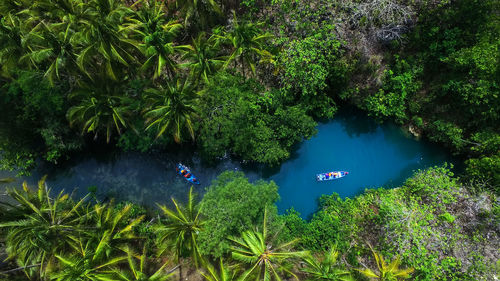 High angle view of plants by lake