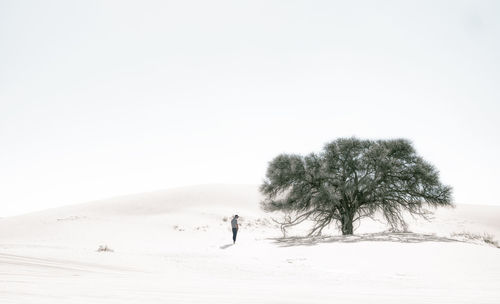 Trees on snow covered field against clear sky