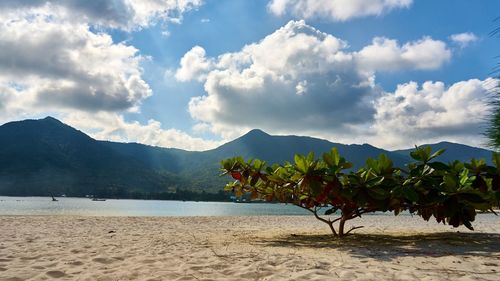 Scenic view of beach against sky