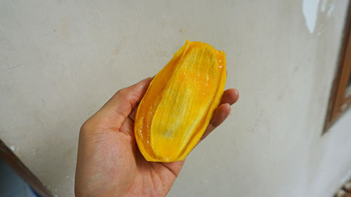 Close-up of hand holding orange slice