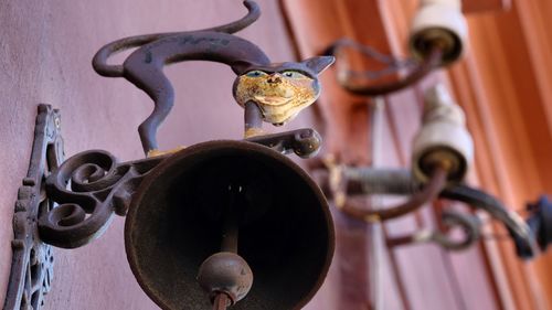 Close-up of cat on rusty metal