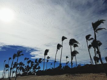 Low angle view of silhouette trees on field against sky