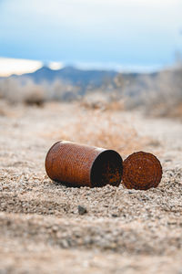 Close-up of shells on sand