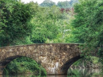 Arch bridge with trees in background