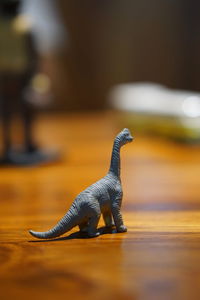 Close-up of lizard on wooden table