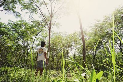 Rear view of women standing amidst plants in forest