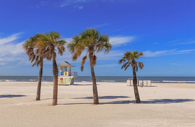 Palm trees on beach against blue sky