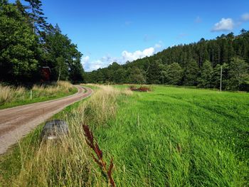 Road amidst trees on field against sky