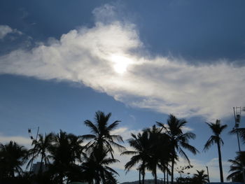 Low angle view of palm trees against blue sky