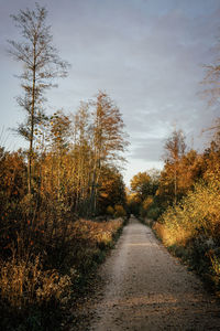 Road amidst trees against sky