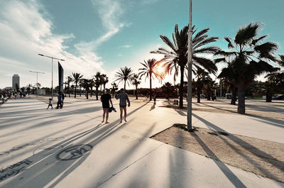 People walking on palm trees in city against sky