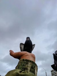 Low angle view of bird perching on statue against sky