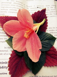 Close-up of paper flowers