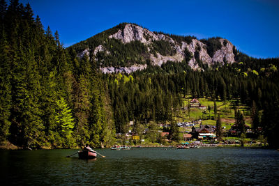 Scenic view of river amidst trees against sky