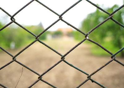 Close-up of chainlink fence