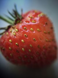 Close-up of red fruit