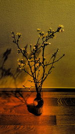 Close-up of tree by water