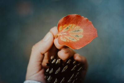 Cropped image of hand holding orange