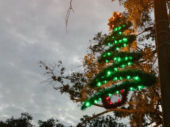 Low angle view of christmas tree against sky at night