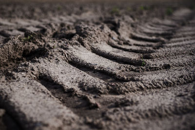 Detail shot of sand on field