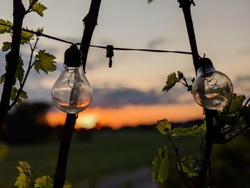 Close-up of light bulb against sky