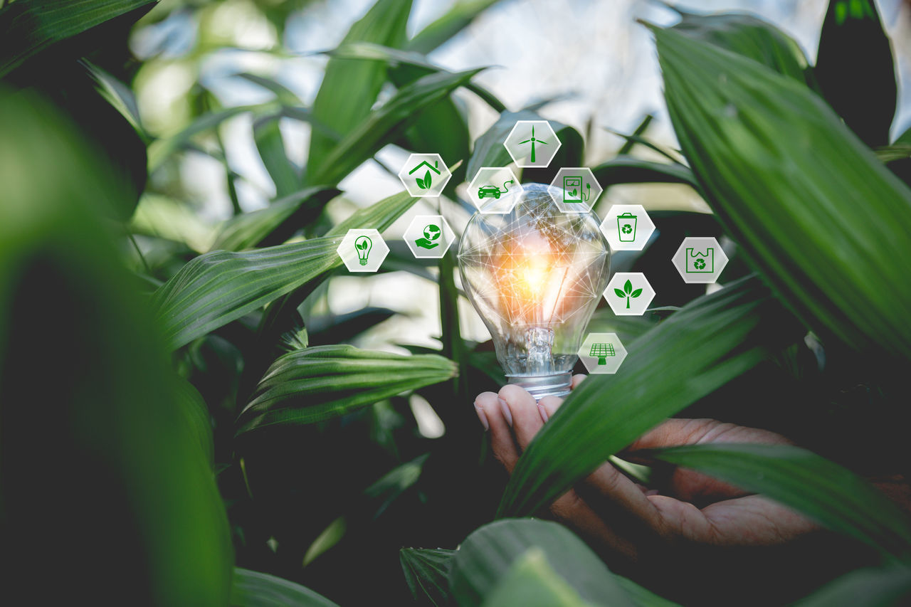 CLOSE-UP OF ILLUMINATED LIGHT BULB AGAINST PLANTS