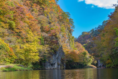 Scenic view of lake by trees during autumn